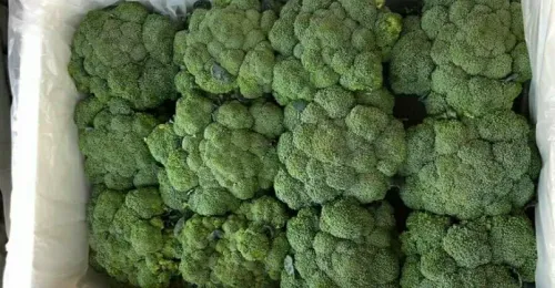 Broccoli (Baladi)