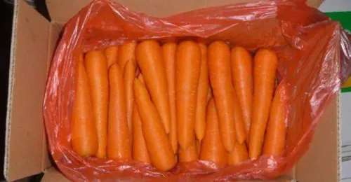 Rainbow Carrot