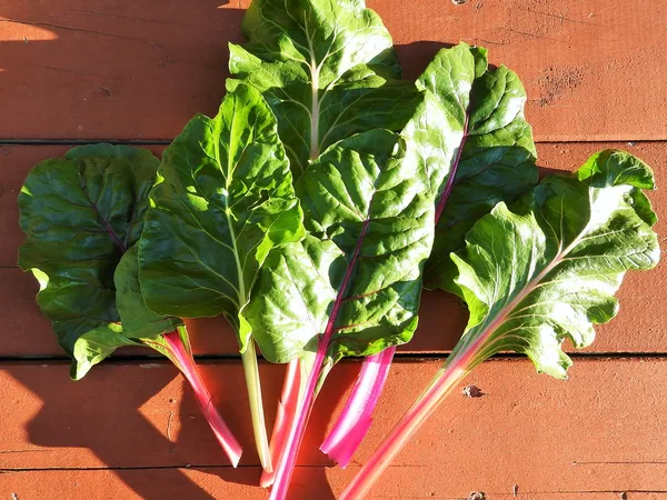Swiss Chard (Baladi)