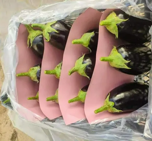Rumi Eggplant