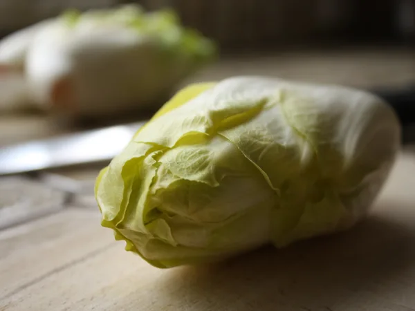 White Endive