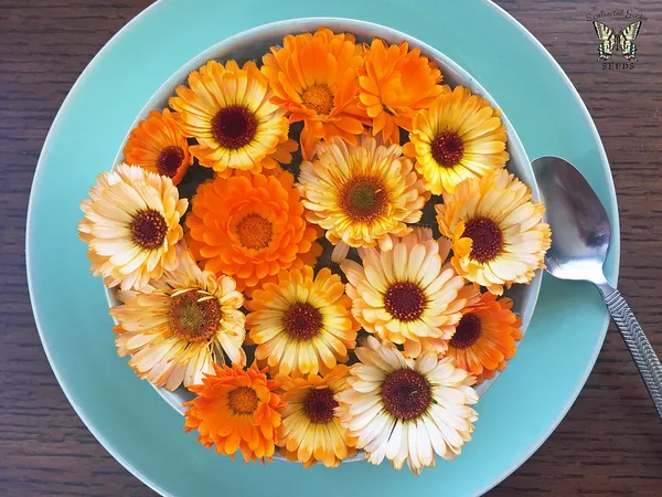 Edible Salad Flowers