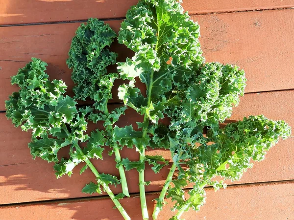 Kale (Green & Red)