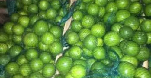 Lemon (Baladi)