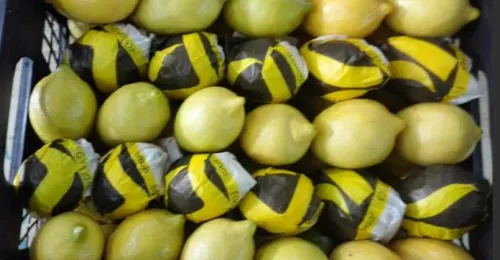 Italian Lemon