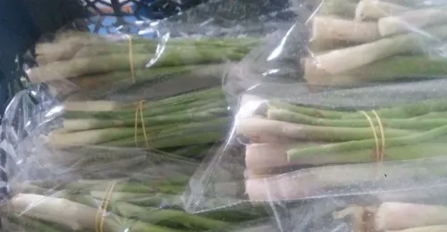 Lemongrass (Hiwa)