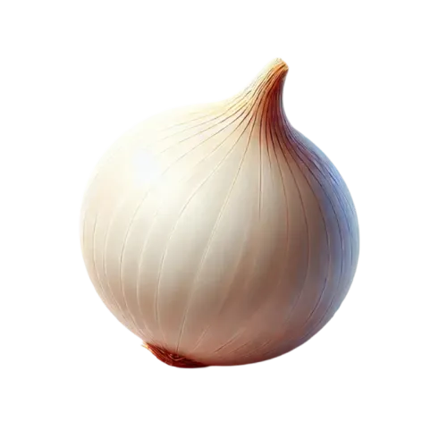 White Onion