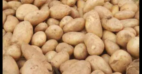 Cara Potato