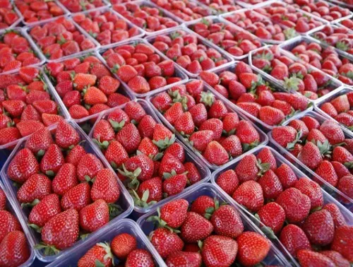 Strawberry